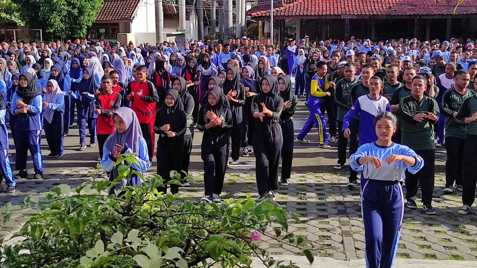 whatsapp image 2025 09 29 at 11.21.22